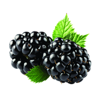 blackberry
