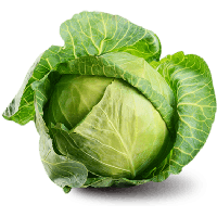 cabbage