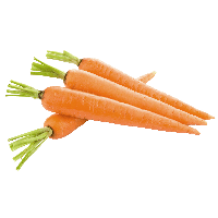 carrot