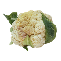 cauliflower