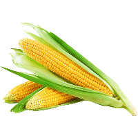 corn