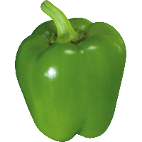 green pepper