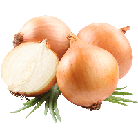 Onion