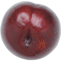 plums