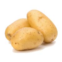 Potato